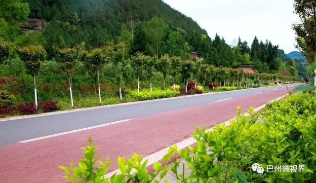 宽阔平坦,绿植环绕的环湖道路