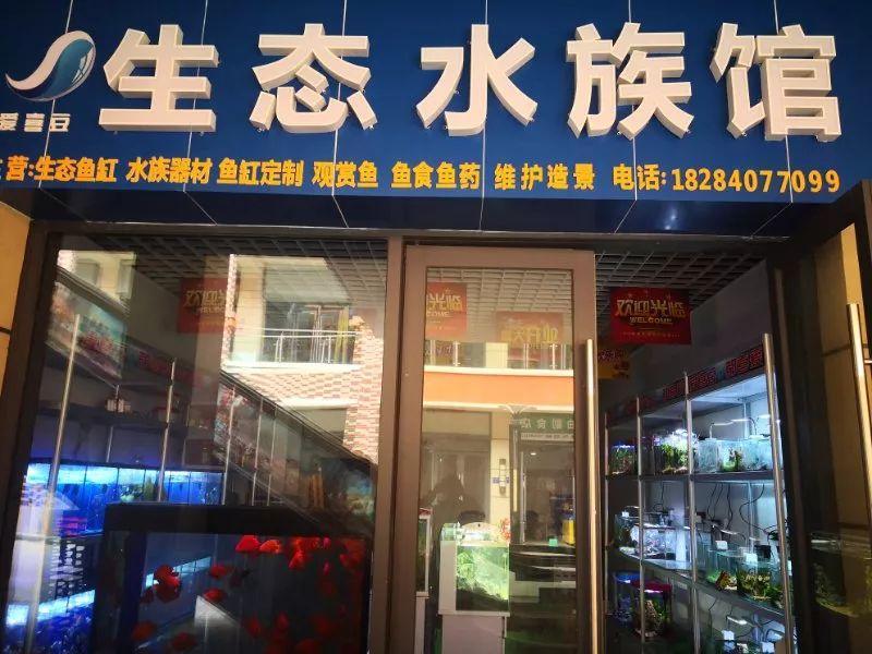 水族店门头效果图图片