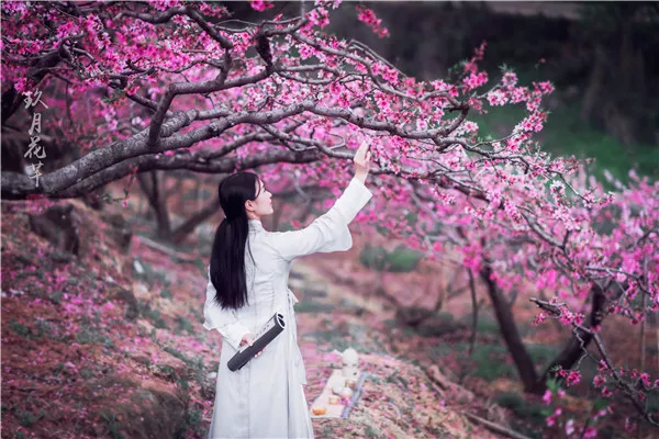 桃花的样子 美女照片图片