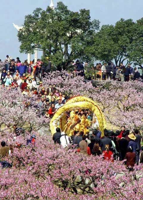 宁波奉化一年一度的桃花节又来了,抓紧最后两天去赏花!