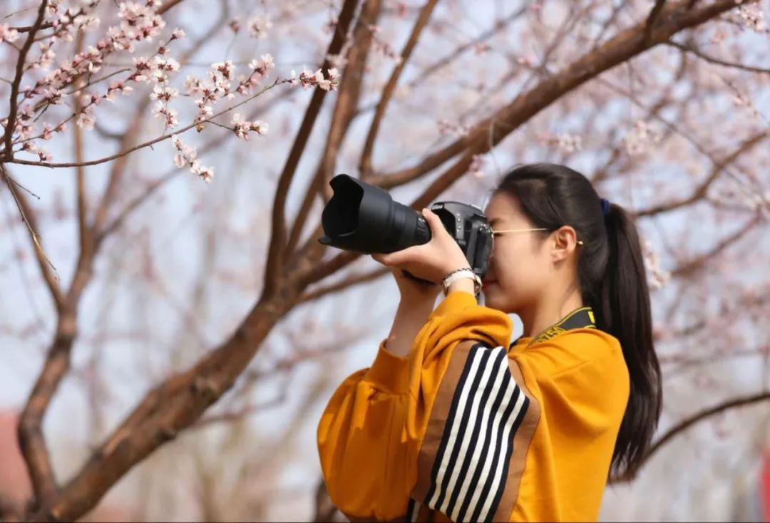 山西财经大学校花图片