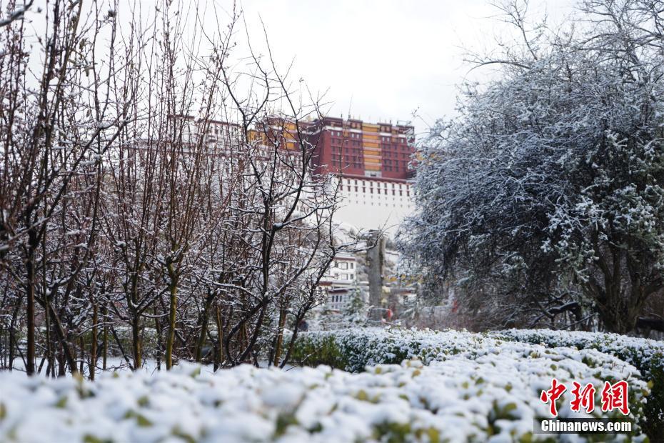 图为布达拉宫雪景.