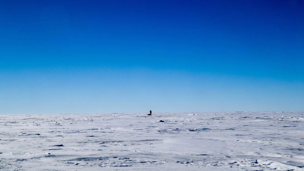 你受得了吗震哥竟然在南极暴风雪中吃到了米其林三星远途心路