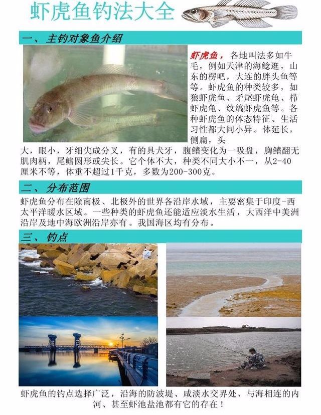 无漂钓法擒获虾虎鱼,抛竿钓法:单钩搜索,路亚,根钓,远投串钩定点