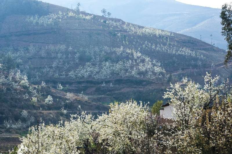 巍山县马鞍山图片