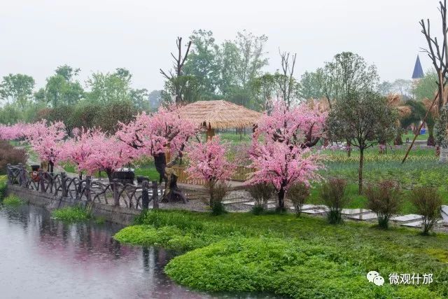 什邡御景园·花坞赏花季盛大开幕,除了美丽的花海还有这些精彩的