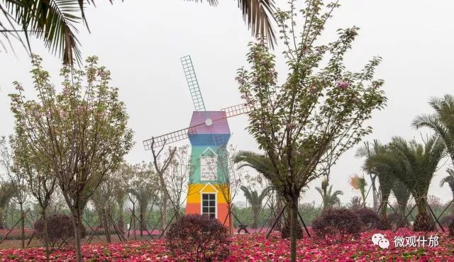 什邡御景园·花坞赏花季盛大开幕,除了美丽的花海还有这些精彩的