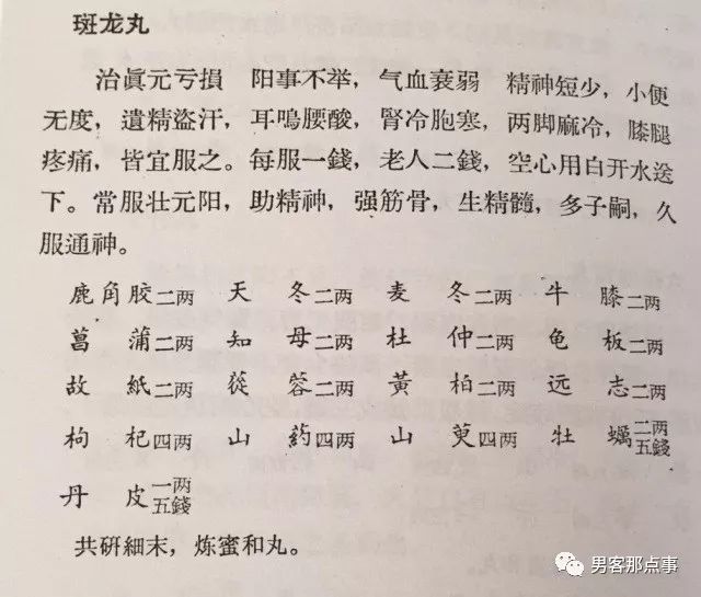 斑龙丸说明书图片