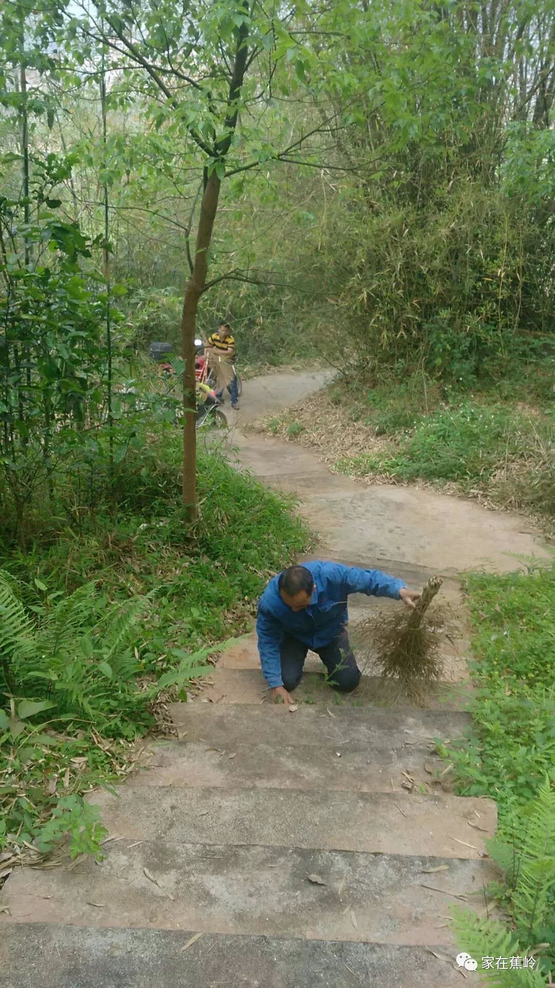 蕉岭张能勇家图片图片