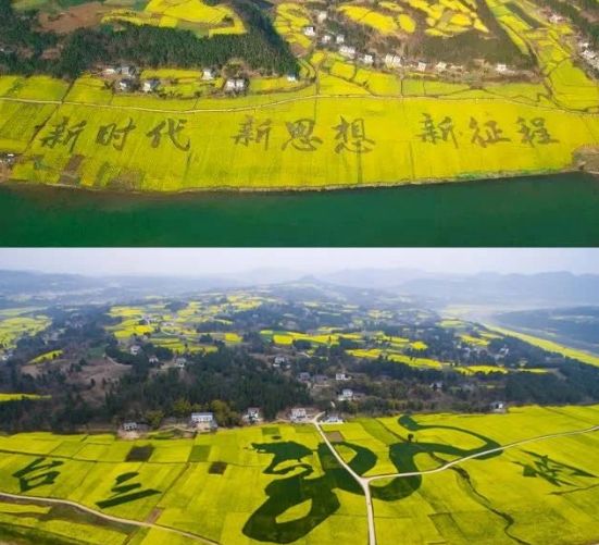 3月9日,四川三台县龙树镇第三届大地艺术节开幕,油菜花田惊现"龙"字及