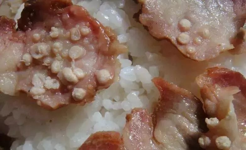 米猪肉和脂肪粒区别图图片