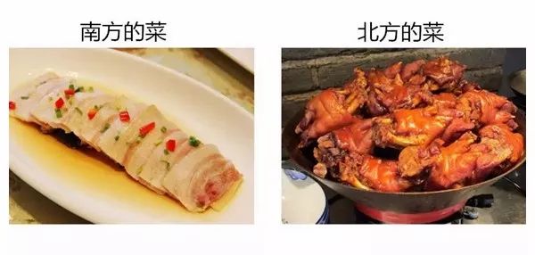 中国南北饮食差异图片