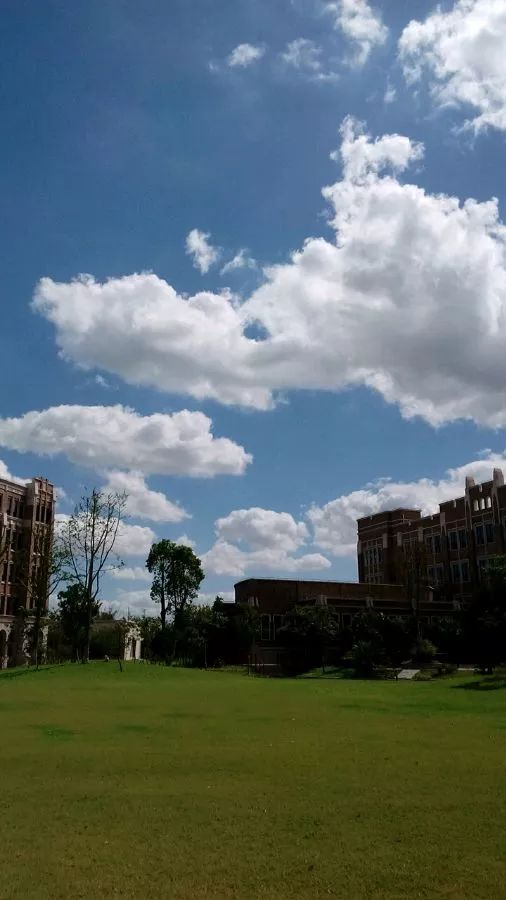 校園風景上海外國語大學賢達經濟人文學院