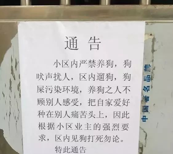 狗乱拉屎告示图片