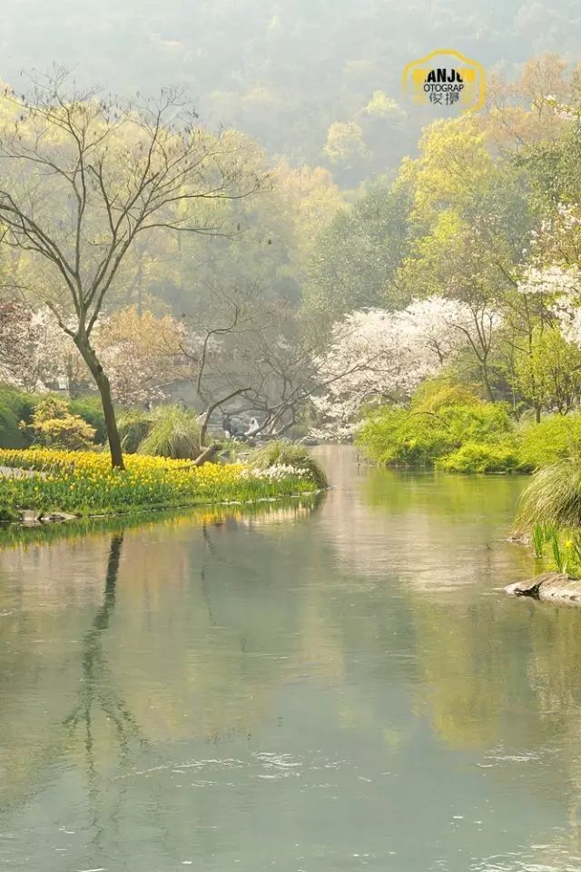 錢俊|春暖花開,環西湖徒步一圈會看到什麼