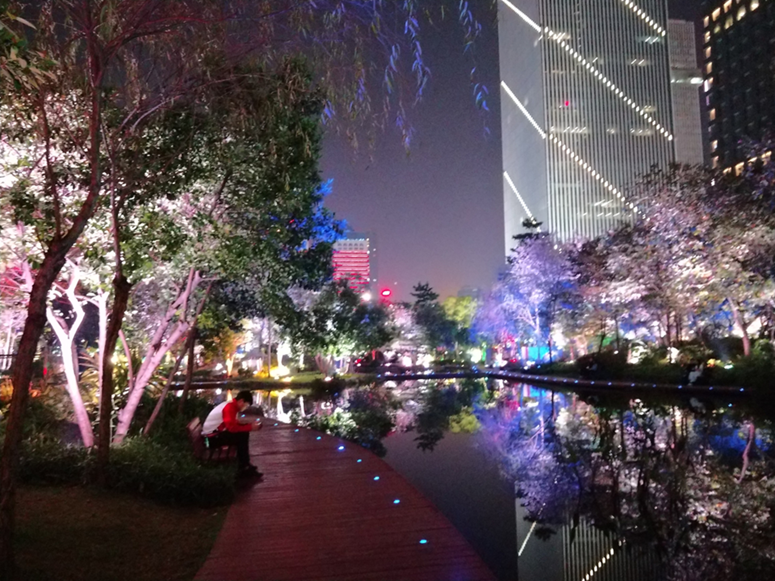 花城汇夜景图片