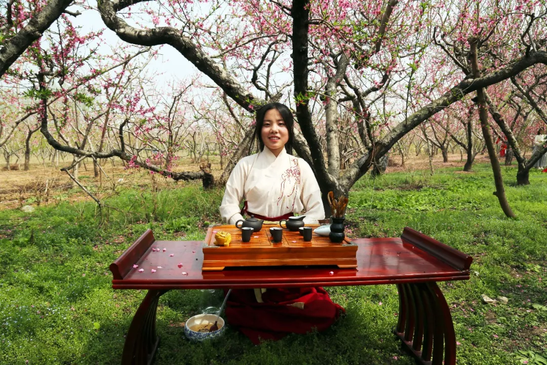 桃花树下喝茶的图片图片