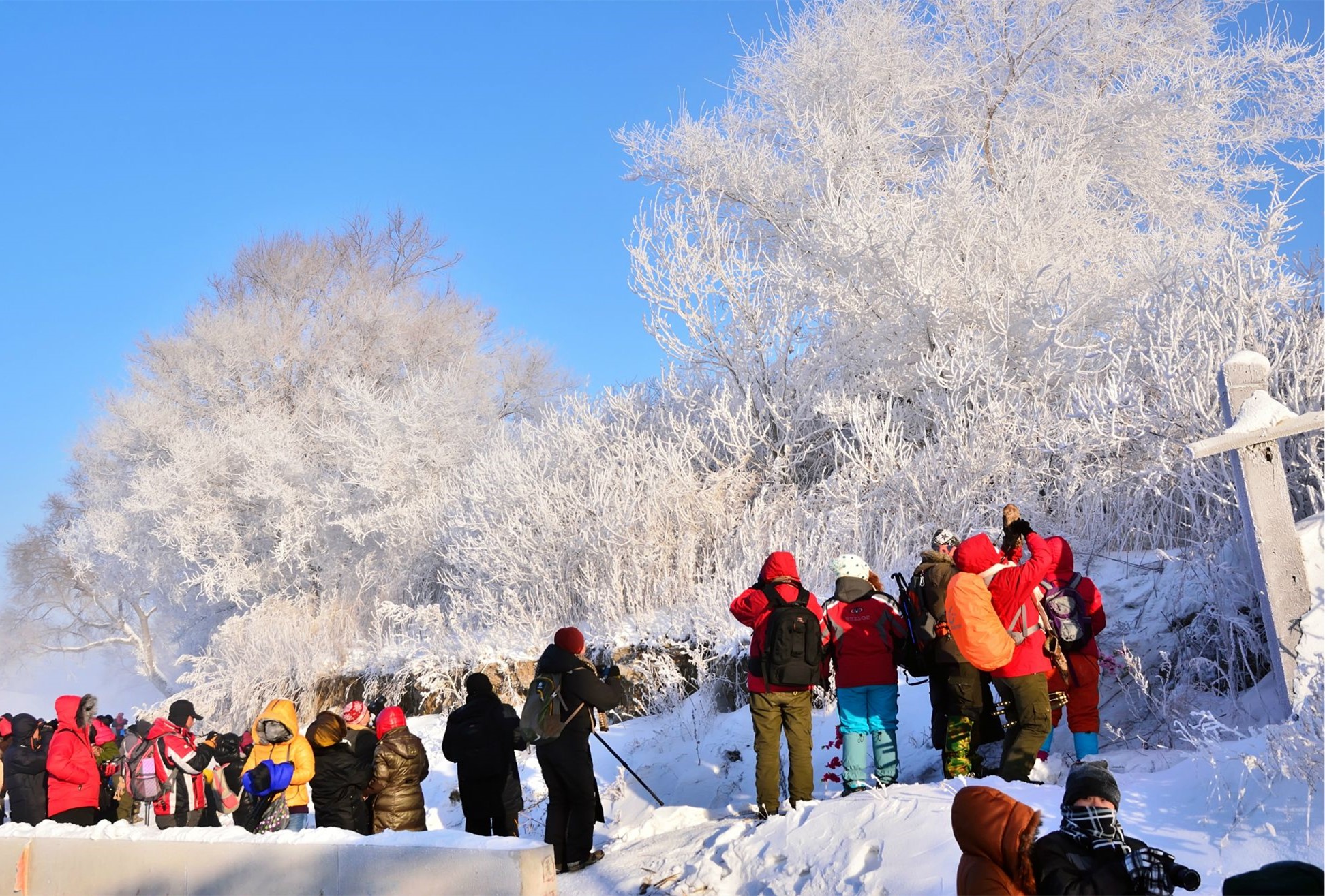 在这里春可踏青品鱼,夏可避暑度假,秋可观枫赏桦,冬可赏凇戏雪,特别是