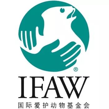 国际爱护动物基金会(ifaw)全球最具影响力的动物福利组织之一
