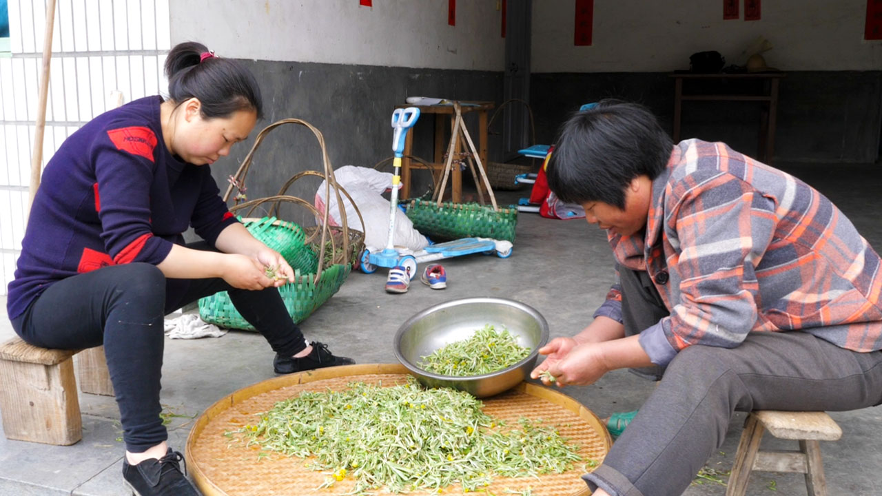 农村孕妇的一天,为了吃这道美食,忙了一下午