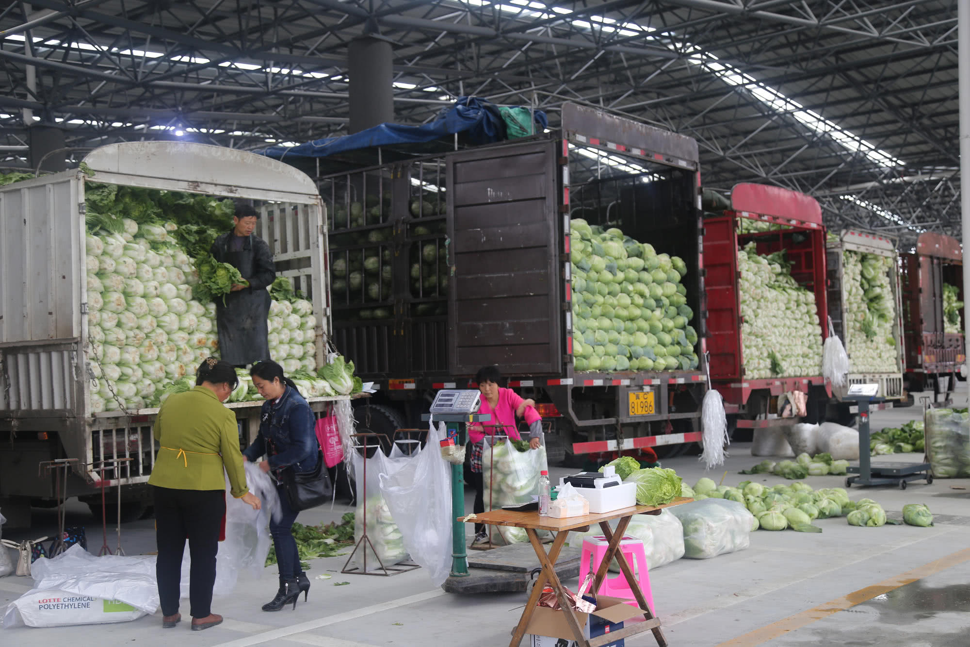 助力黔货出山,贵州双龙农副食品交易中心蔬菜交易区试运营