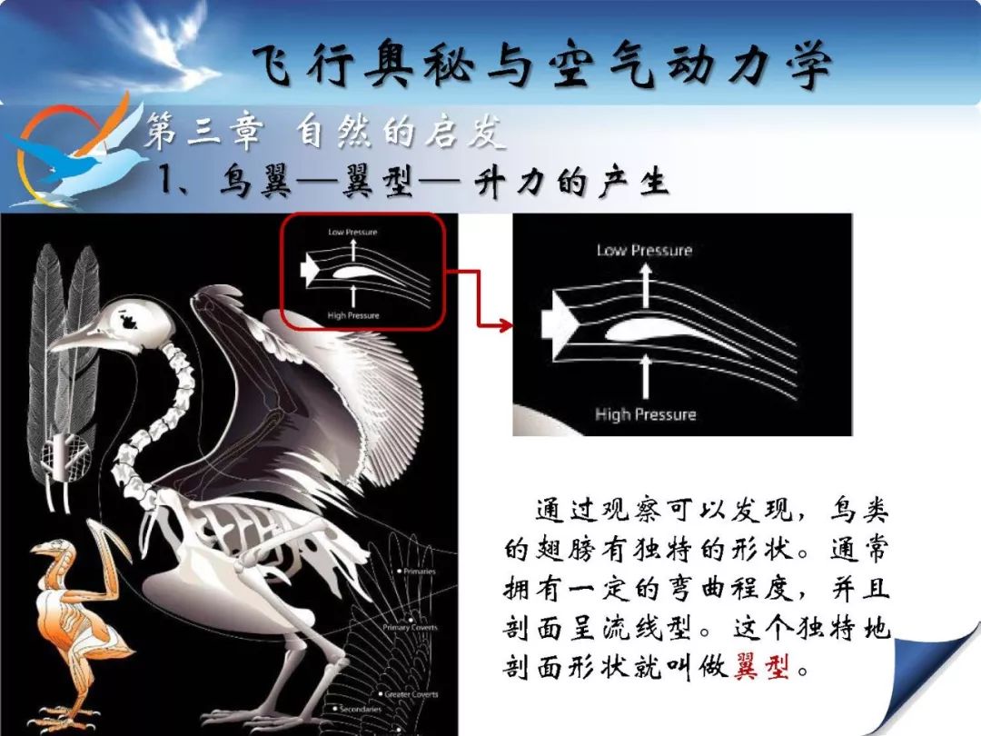 流體力學微教材飛行奧秘與空氣動力學原理