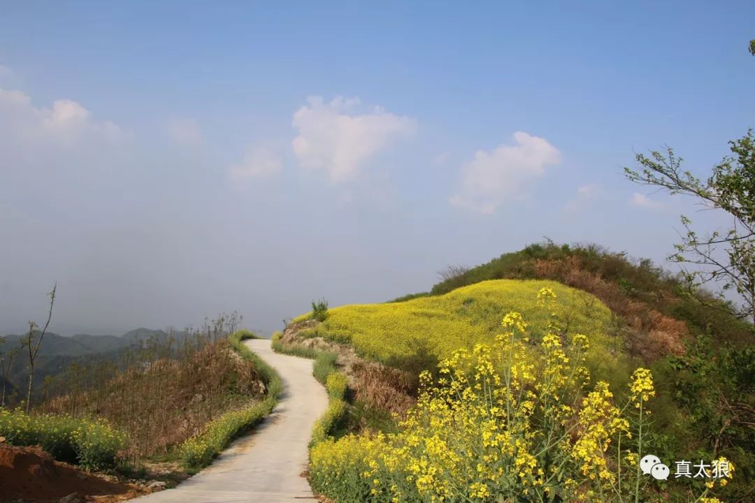 泾县云岭景点图片