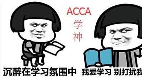 2018年哪些专业的人适合学acca?