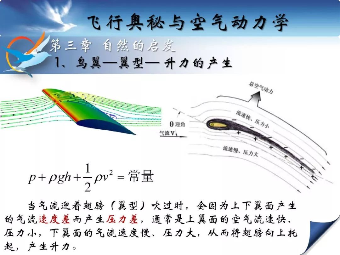 流体力学微教材飞行奥秘与空气动力学原理