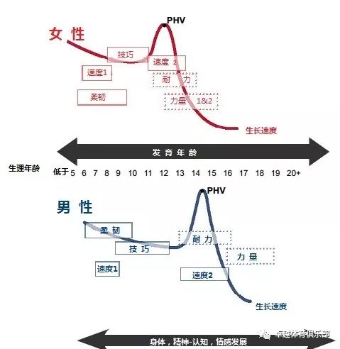 健康运动从小做起(图4)