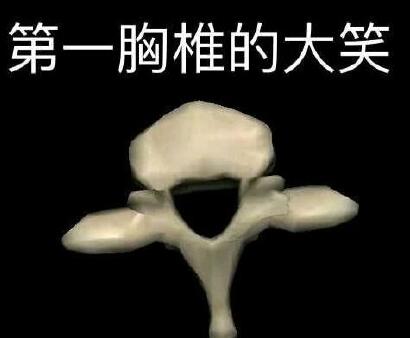 四川农业大学现椎骨表情包解剖课成了斗图课