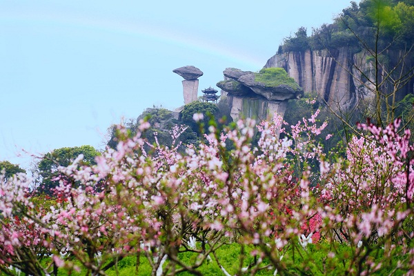 绍兴吼山风景区桃花节图片