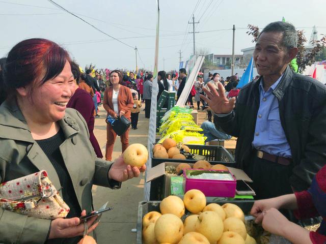 花满枝头河南社旗朱集上演梨花颂扶贫情大戏