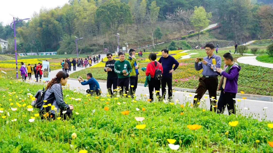 赏花踏青登山游玩清明最全旅游攻略请收好