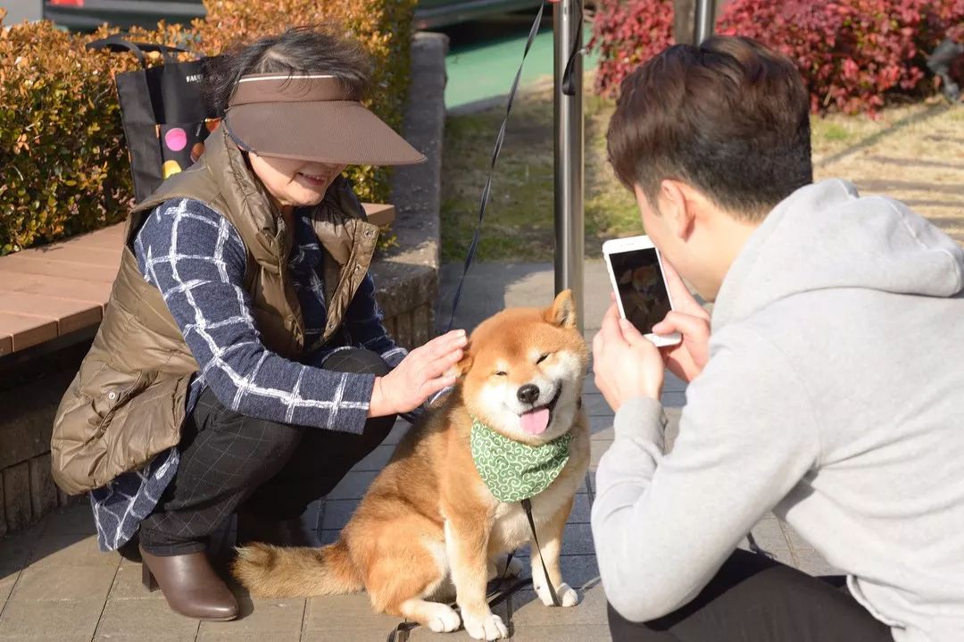 柴犬和男生一起的图片图片