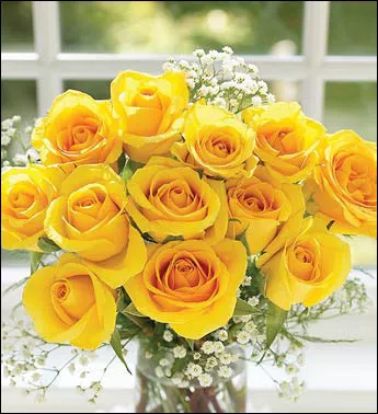 黄玫瑰图片唯美头像图片