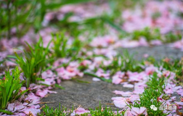 落英紛紛曠野鎖陰雲細雨菲菲