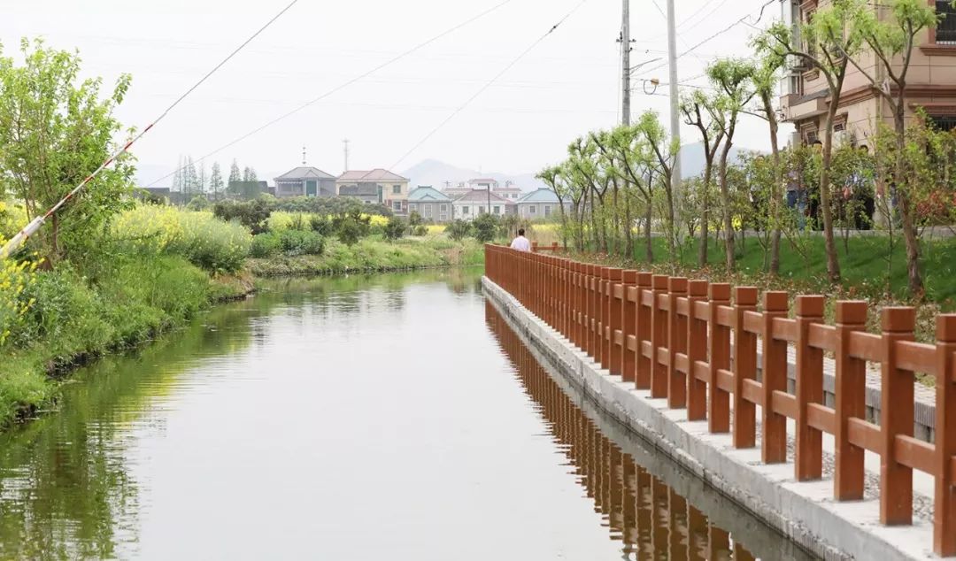 第四站我們來到了逍林鎮今年創建的