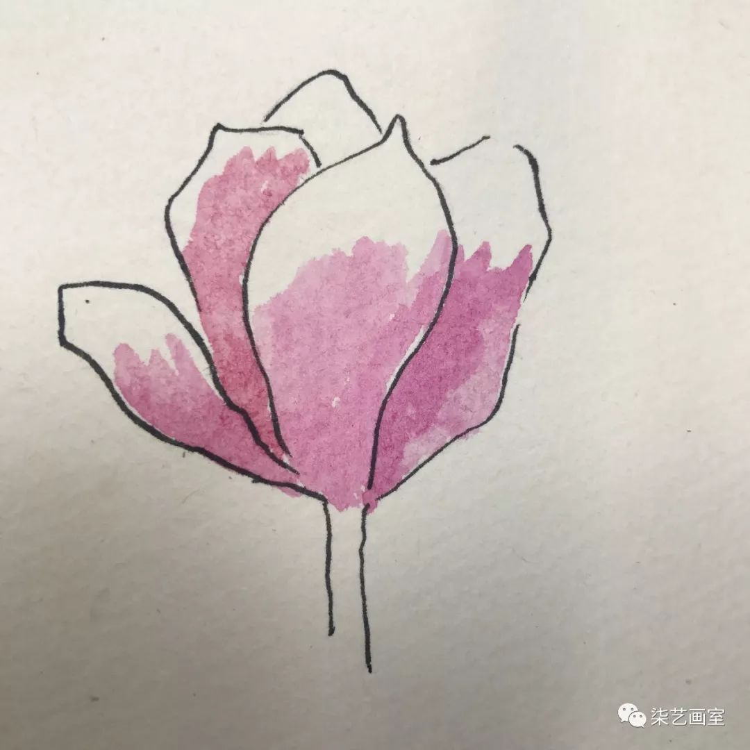 透叠画法花卉图片