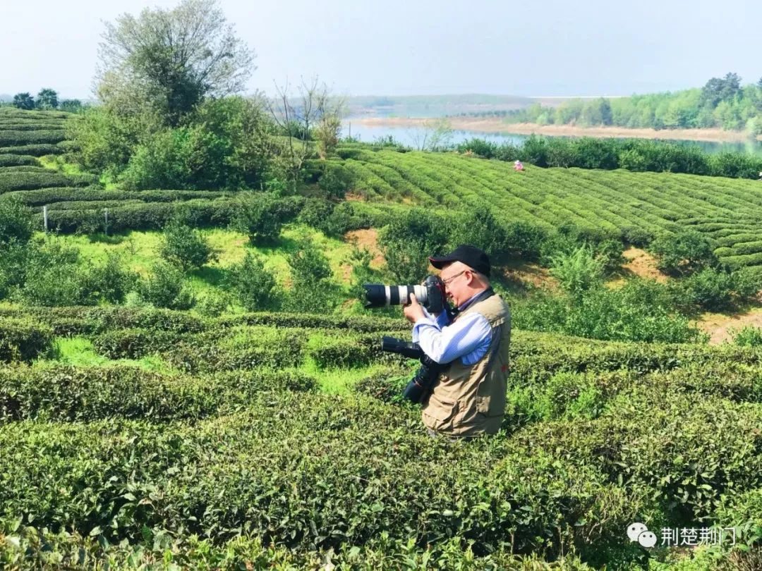 一群美女著漢服穿越到荊門,在漳河邊的茶園裡翩翩起舞,她們要幹嘛呢?