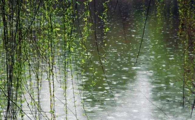 人間最美四月天桃花細雨潤綿綿和孩子一起感受詩詞裡的春雨