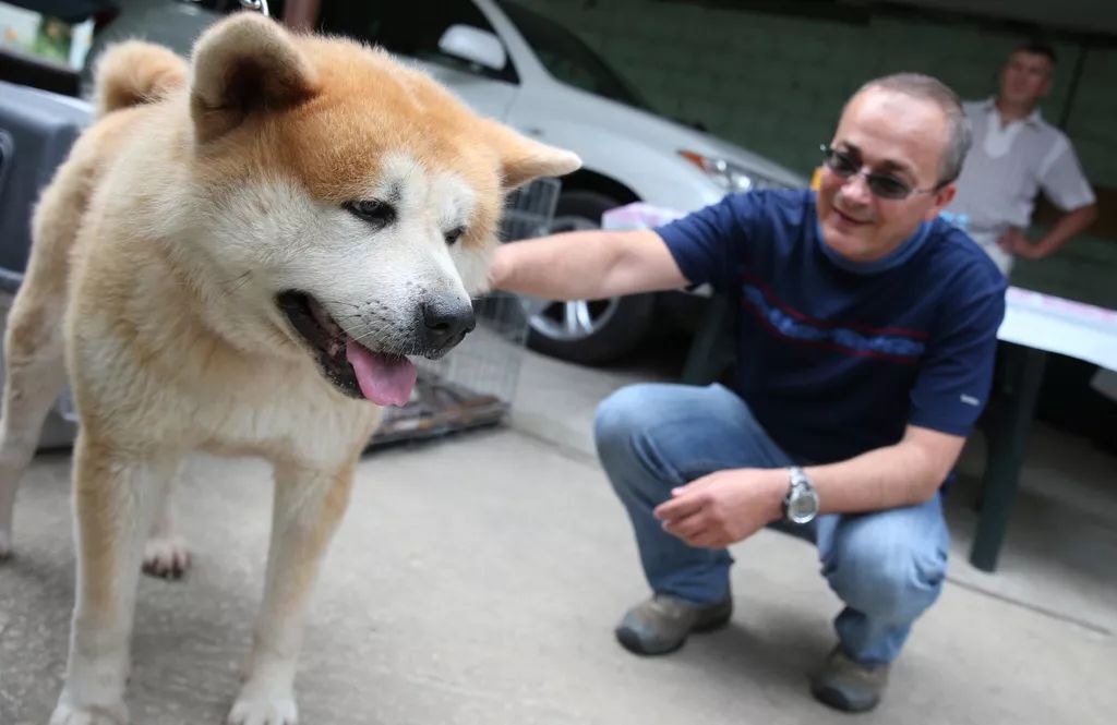 谷歌街景上線秋田犬視角觀光地圖