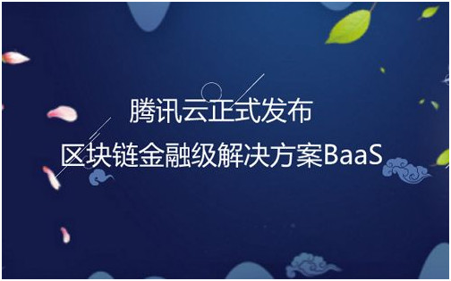 韭菜圈:那些賣了房子買幣的人是不是傻