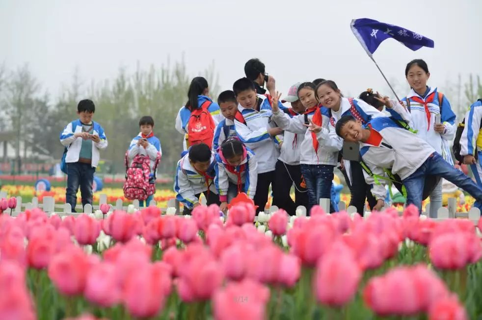 西安最美花季灃東農博園繁花綻放正當時錯過等一年