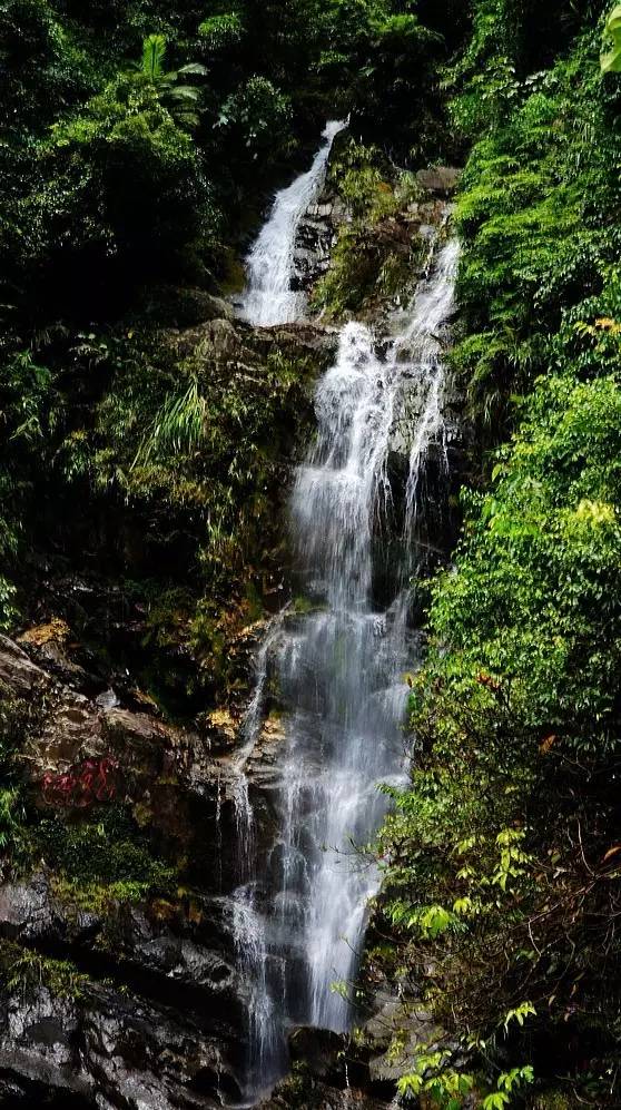 地址:廣東省肇慶市鼎湖區