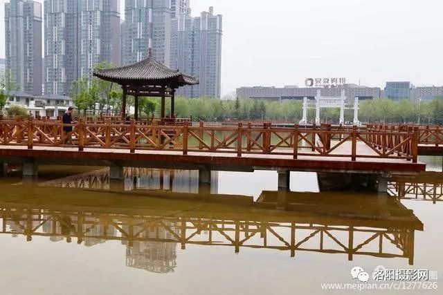 春賞牡丹夏賞荷親水休閒樂趣多洛陽新區興洛湖公園美景再現