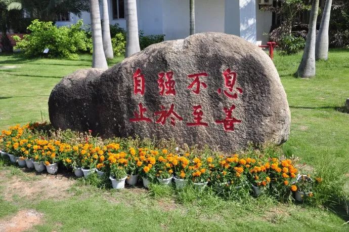 厦门大学校训