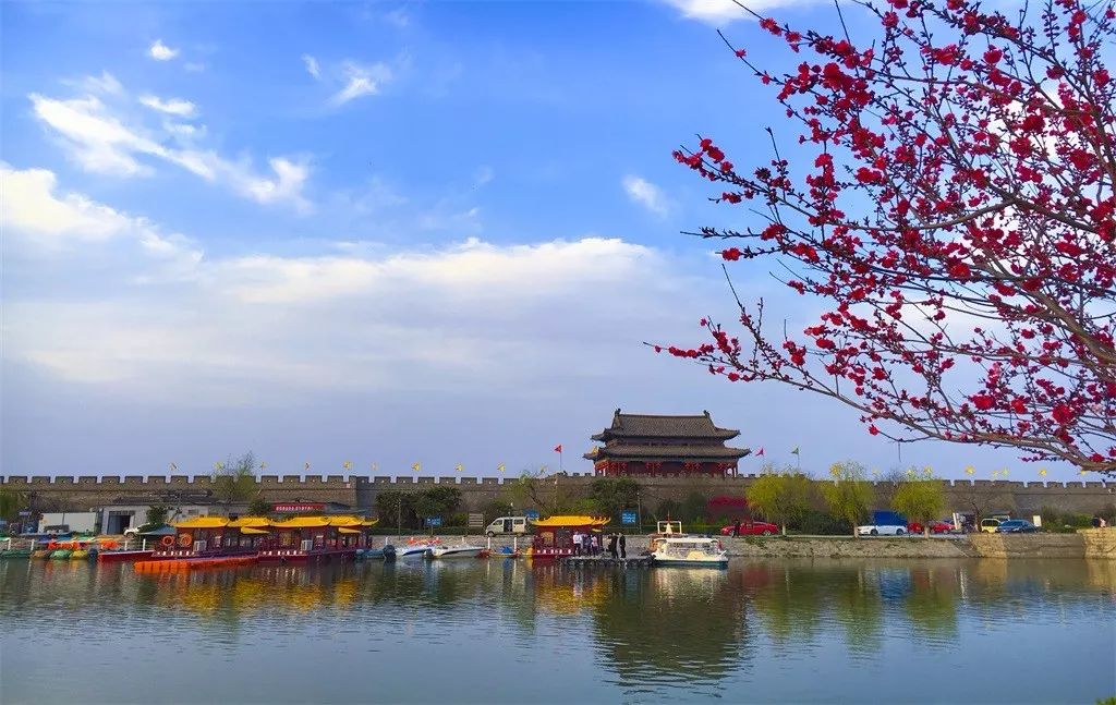 風景帶都色彩繽紛,綠植花卉遍佈滿園猶如春天寫給商丘市民的一封情書