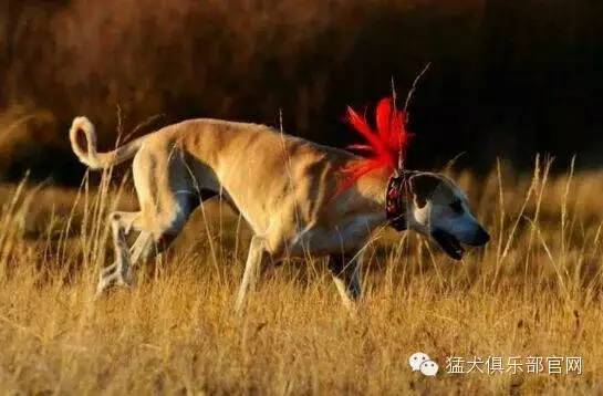 共同珍惜我们的传世之宝