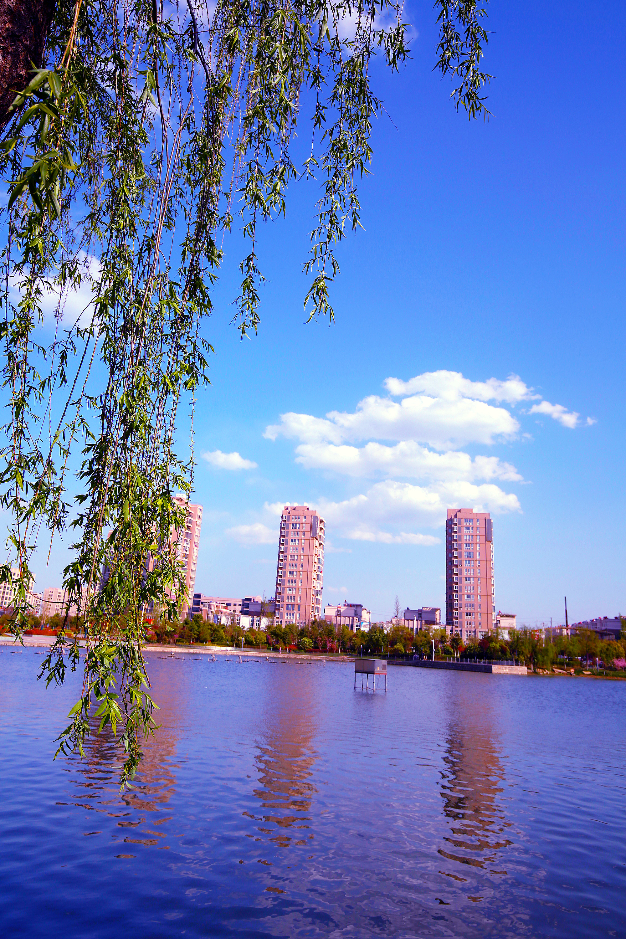 盐城滨海风景图片